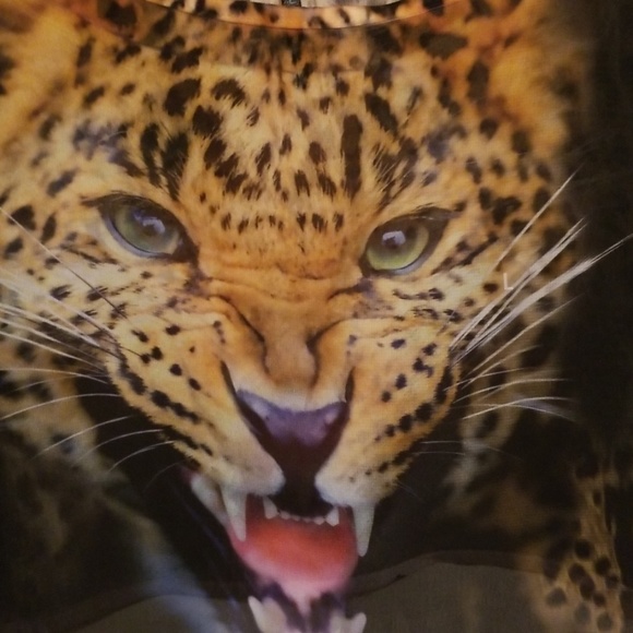 Nollie Top - Picture 2 of 6